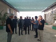 موکب محبان‌الرضا (ع) مرز شلمچه به مرحله نهایی آماده‌سازی رسید