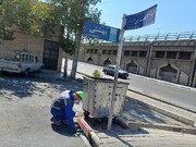 امحاء جانوران موذی در معابر و بوستان‌های منطقه ۴ تهران