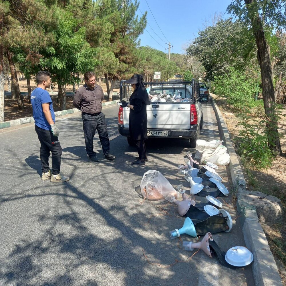 اقدامات جامع برای مقابله با سوسک پوستخوار در بوستان چیتگر؛ از نصب تله فِرمونی تا کوددرمانی