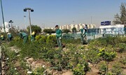 بازپیرایی ۳۸۰۰ مترمربع از فضای سبز بوستان‌های منطقه ۹