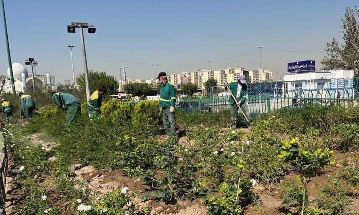 بازپیرایی ۳۸۰۰ مترمربع از فضای سبز بوستان‌های منطقه ۹