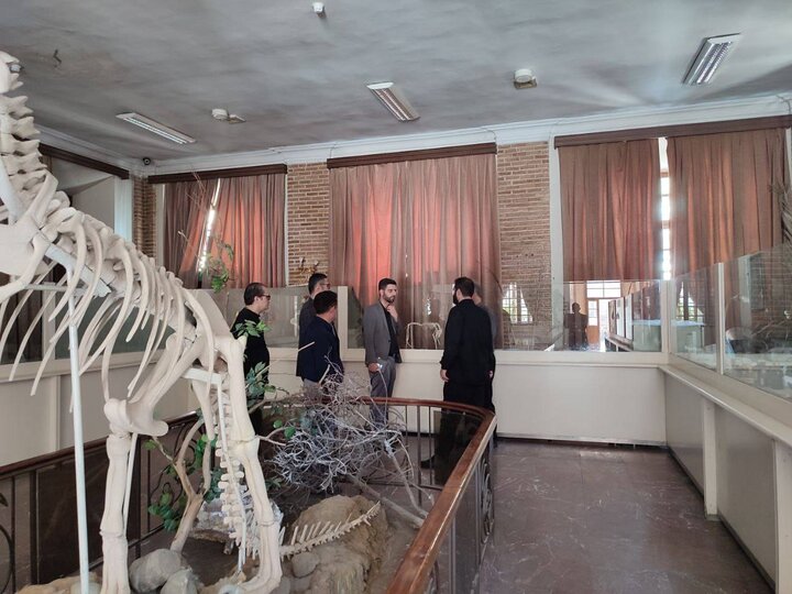 موزه هفت‌چنار توسعه می‌یابد