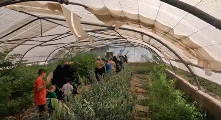 برگزاری پویش «شهر سبز» در منطقه ۲۰