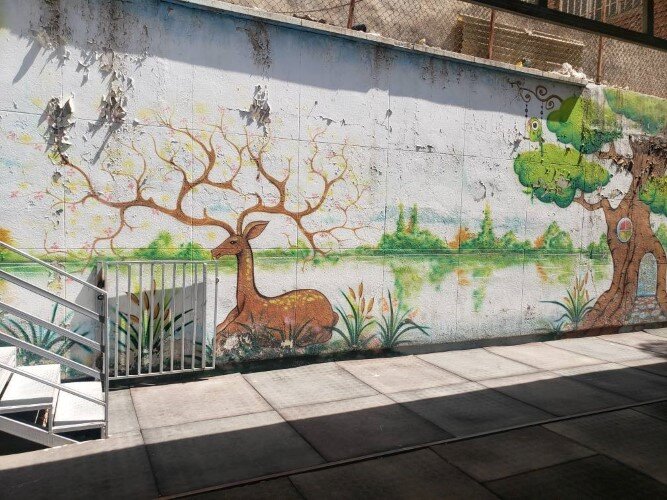  مدارس منطقه ۶ نوسازی می‌شوند