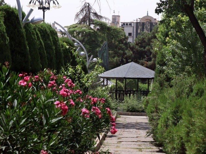 حفاظت از درختان خاص و کمیاب بوستان ساعی به عنوان گنجینه ۷۰ ساله سبز پایتخت