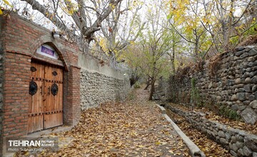 طبیعت پاییزی کوچه باغ‌های محله کن