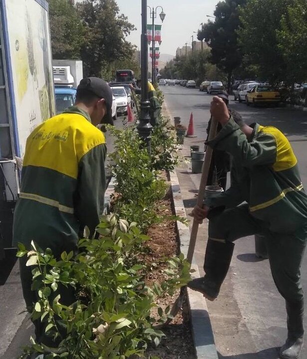 اجرای طرح توسعه فضای سبز در منطقه ۱۳