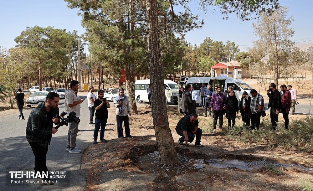 بازدید اصحاب رسانه از روند انجام عملیات احیای چیتگر