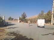 اجرای طرح زنده‌گیری سگ‌های بلاصاحب در سه بوستان جنگلی شمال‌غرب تهران