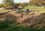 کاشت ۳۵۰۰ مترمربع فرش گل‌ زینتی در محورهای اصلی منطقه ۵