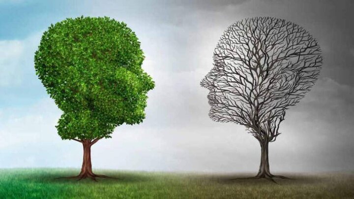 از ایجاد مهارتکده‌های روان در مکان‌های پرتردد تا اجرای جشنواره «حال خوب مادری» ویژه مادریاران