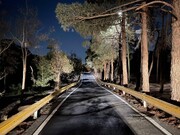 اجرای خط‌کشی محوری ۱۴.۵ کیلومتر در معابر بوستان چیتگر