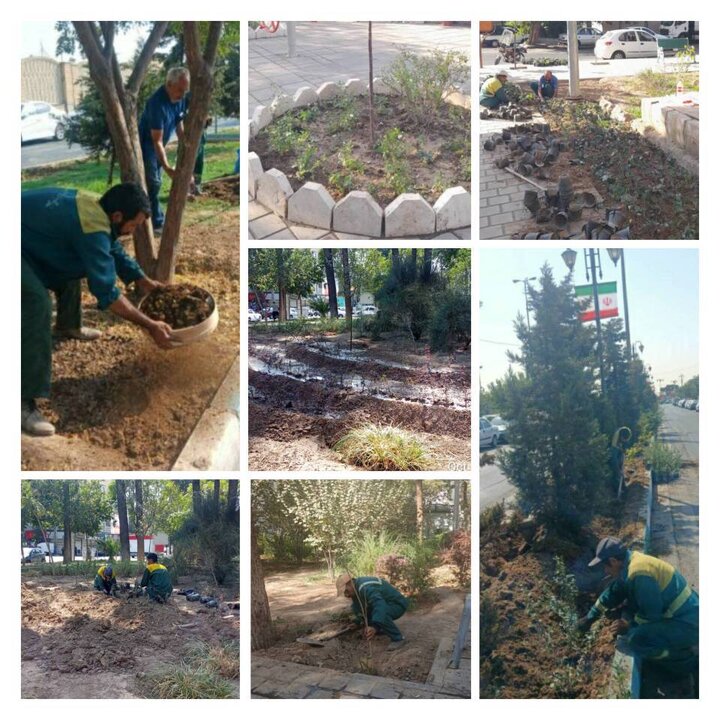 آغاز عملیات بازپیرایی بوستان‌های منطقه ۲۰ 