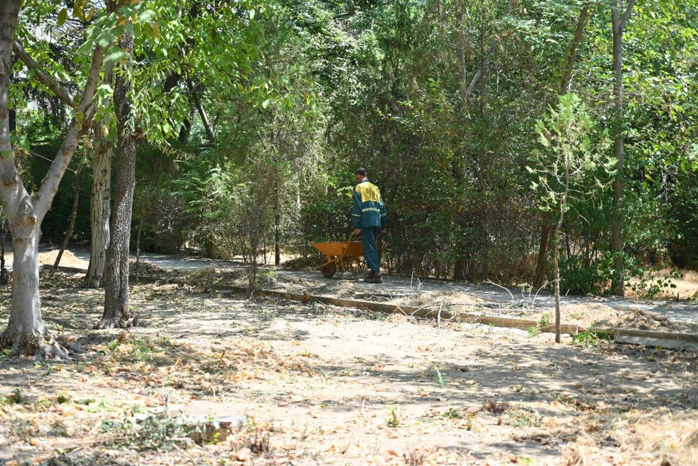 ۱۰ هزار مترمربع فضای سبز به بوستانهای منطقه یک افزوده میشود