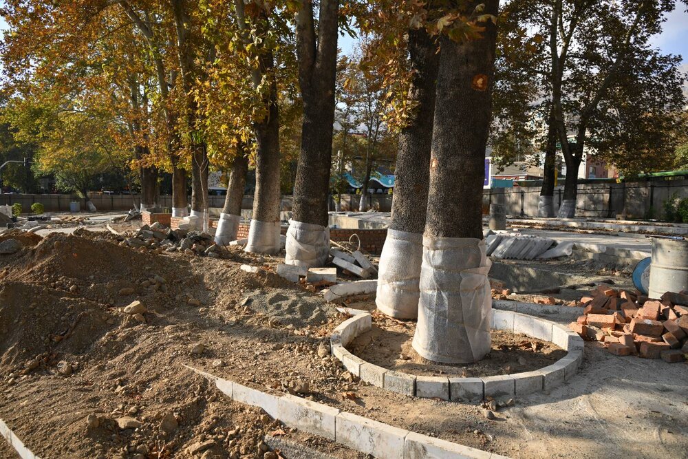 بهسازی میدان تجریش با رویکرد حفظ هویت و صیانت از درختان کهنسال ادامه دارد