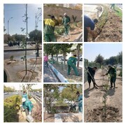 اجرای طرح گسترده کاشت درخت و گل در معابر پرتردد منطقه ۲۰