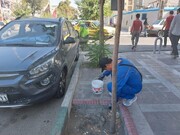 پاکسازی نقاط آلوده منطقه ۸ با انسداد بیش از ۱۰۰ کلونی جانوران مضر 