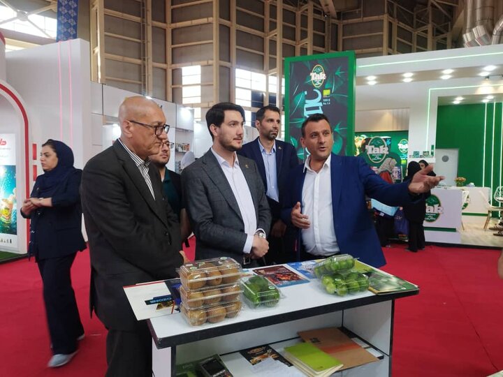  بقایای محصولات تراریخته برای محیط زیست نامناسب است