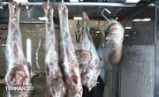 عرضه گوشت در میادین میوه و تره‌بار ادامه دارد