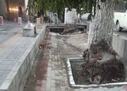 ساماندهی انهار خیابان شریعتی برای بهبود زیرساخت‌های شهری در حال انجام است