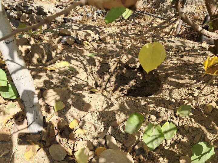 جلوگیری از حفر چاه‌های عمیق غیرمجاز در حریم منطقه ۲۲