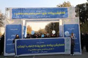 همایش بزرگ پیاده‌روی جنوب تهران به مناسبت هفته ملی دیابت برگزار شد