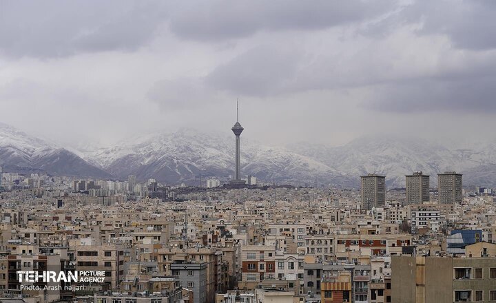 گزیده‌ای از برگزاری شوراها و مجامع