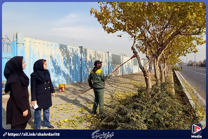 اجرای عملیات هرس گونه‌های گیاهی در حاشیه بزرگراه‌های جنوب‌غرب پایتخت 