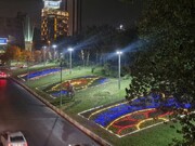 ‌ "فرش گل‌های نوری" جلوه‌ای نو در بزرگراه شهید مدرس ایجاد کرد