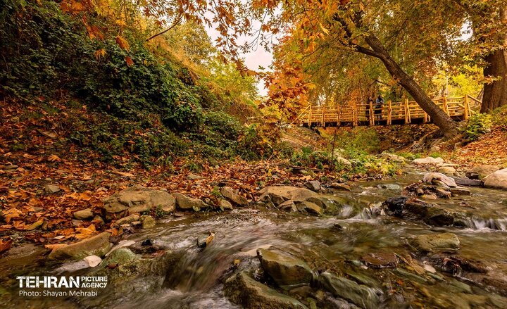 تملک برخی از باغ‌های اطراف رودددره فرحزاد در دستور کار است