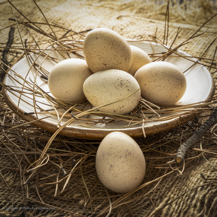 قیمت تخم کبک اعلام شد