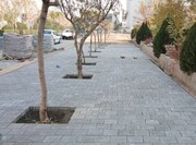 اتمام عملیات عمرانی احداث پیاده‌راه بلوار شهرکرد