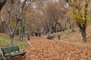 گذر پاییزی در بوستان‌ ملت منطقه ۳ 