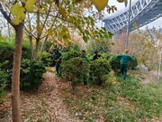 اقدامات امور شهری منطقه فرهنگی و گردشگری عباس‌آباد در فصل پاییز