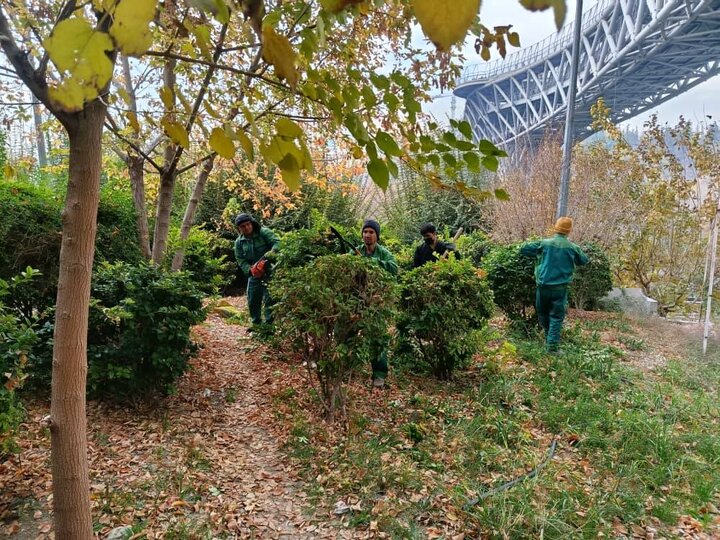 اقدامات امور شهری منطقه فرهنگی و گردشگری عباس‌آباد در فصل پاییز