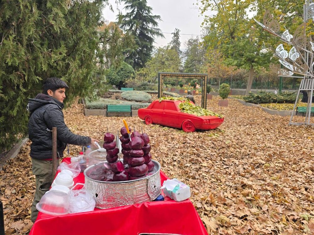 اجرای گذر پاییزی در بوستانهای بزرگ منطقه یک با فرش برگها