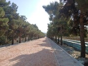 ‍ فاز جنوبی پیاده راه شهرک شهید محلاتی در منطقه یک به اتمام رسید