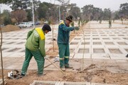 اجرای عملیات احداث فضای سبز در قطعه ۹۰ بهشت زهرا (س)