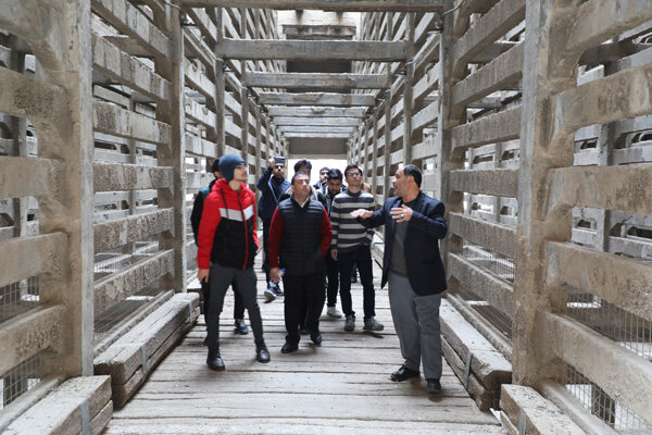 بازدید دانشجویان دانشگاه تهران از پروژه بازآفرینی کارخانه سیمان ری