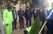 گرامیداشت سال نو میلادی با برگزاری آیین درخت‌کاری در محله آرارات