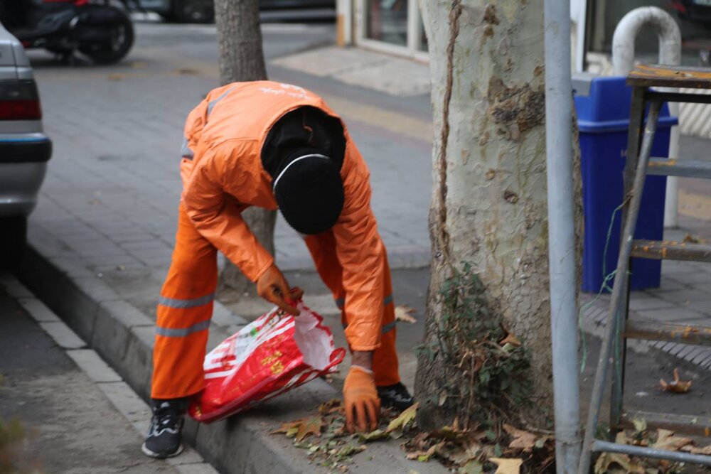 اخالصنایع: طرح «کوچهپسکوچه» فاصله مدیریت شهری و محلات را به حداقل رساند