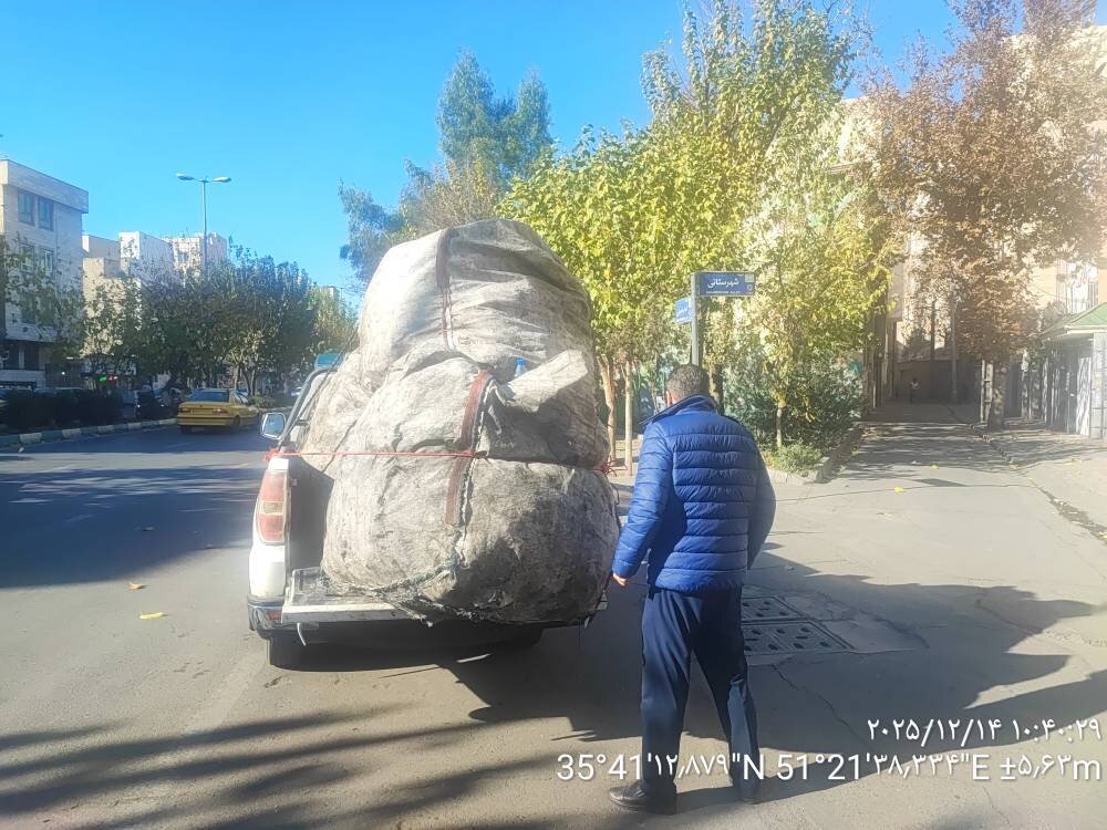 جمعآوری و توقیف بیش از ۱۲ تن پسماند خشک غیرمجاز در منطقه ۱۰