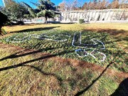 مزین شدن بزرگراه امام علی (ع) با فرش گل "یا علی"