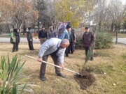 کاشت بیش از ۷۰۰ اصله درخت در بوستان‌های شمال شرق پایتخت