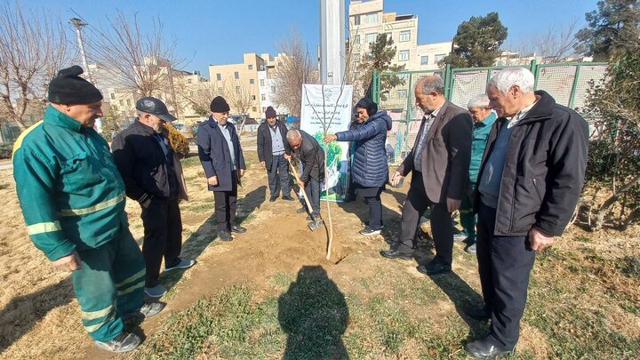 ۱۲۰۰ اصله نهال با مشارکت شهروندان در بوستان‌های منطقه ۱۹ کاشته شد
