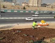 مراحل آماده‌سازی کاشت گل‌های فصلی در حاشیه بزرگراه آزادگان منطقه ۲۲