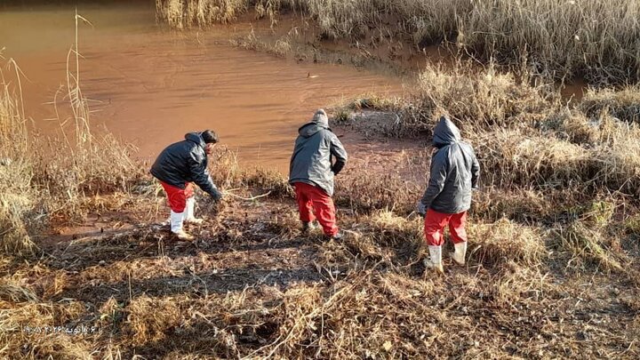 اجرای عملیات بوته‌کنی در رودخانه کن