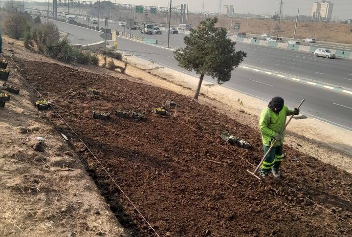 مراحل آماده‌سازی کاشت گل‌های فصلی در حاشیه بزرگراه آزادگان منطقه ۲۲
