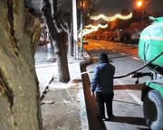 اجرای عملیات یخ‌آب زمستانه درختان در منطقه ۲۰