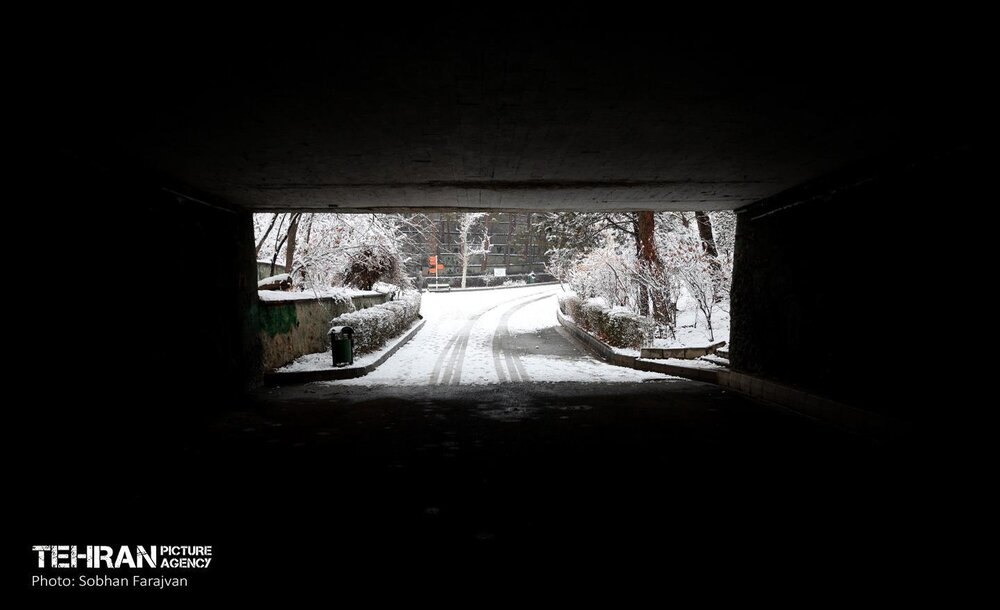 صبح برفی بوستان ملت